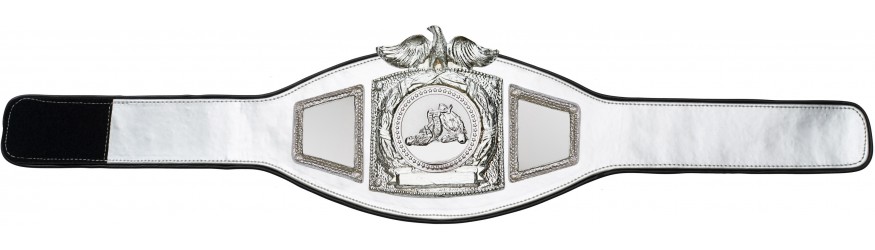 PROEAGLE JIU JITSU CHAMPIONSHIP BELT - PROEAGLE/S/JJS - AVAILABLE IN 6+ COLOURS